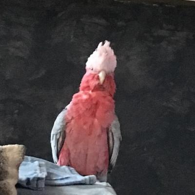 UNADJUSTEDNONRAW_thumb_f80