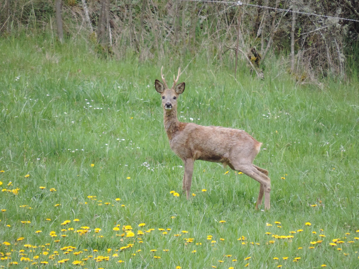 Dscn1483